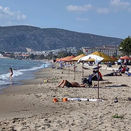 Palm Case de vacanță